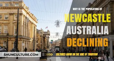 Newcastle's Population Decline: What's Causing the Drop?