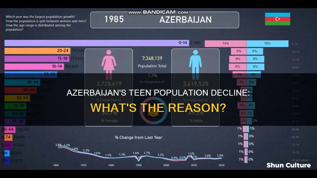 why is the population of teens in azerbaijan so low