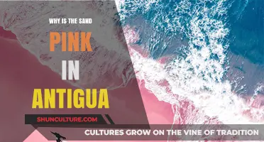 Antigua's Pink Sand Beaches: Unveiling the Unique Natural Phenomenon