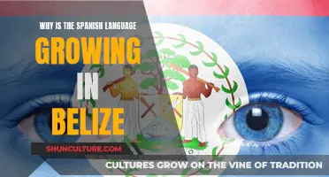 Spanish Language Grows in Belize