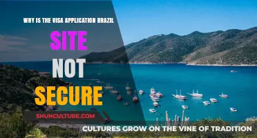 Brazil Visa Application Site Lacks Security: Risks and Concerns