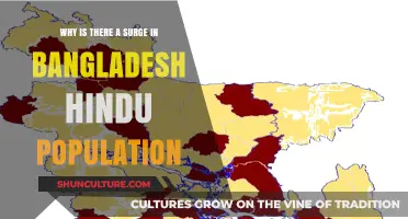 Bangladesh's Hindu Population Surge: Unraveling the Unexpected Demographic Shift