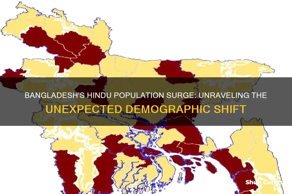 why is there a surge in bangladesh hindu population