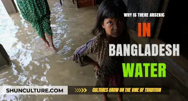 Arsenic Crisis in Bangladesh: Uncovering the Hidden Danger in Water