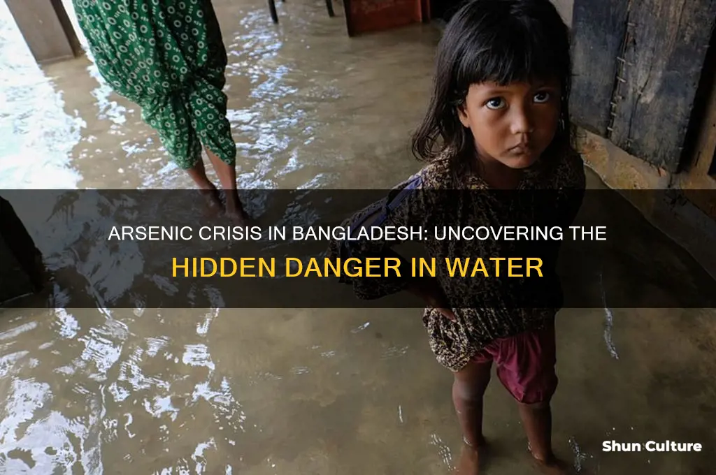 why is there arsenic in bangladesh water
