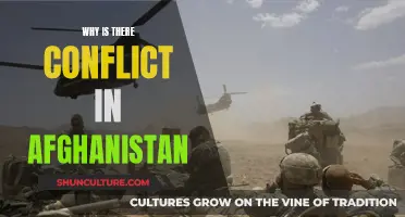 The Ever-Present Conflict in Afghanistan: A Complex Web of Historical, Political, and Social Factors