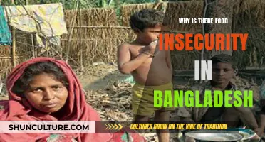 Understanding Bangladesh's Food Insecurity Crisis: Causes and Consequences
