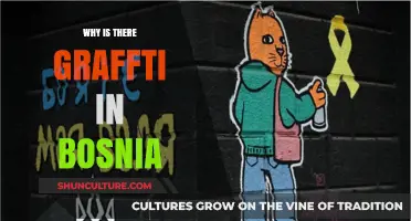 Bosnia's Graffiti: A Powerful Expression of History and Resistance