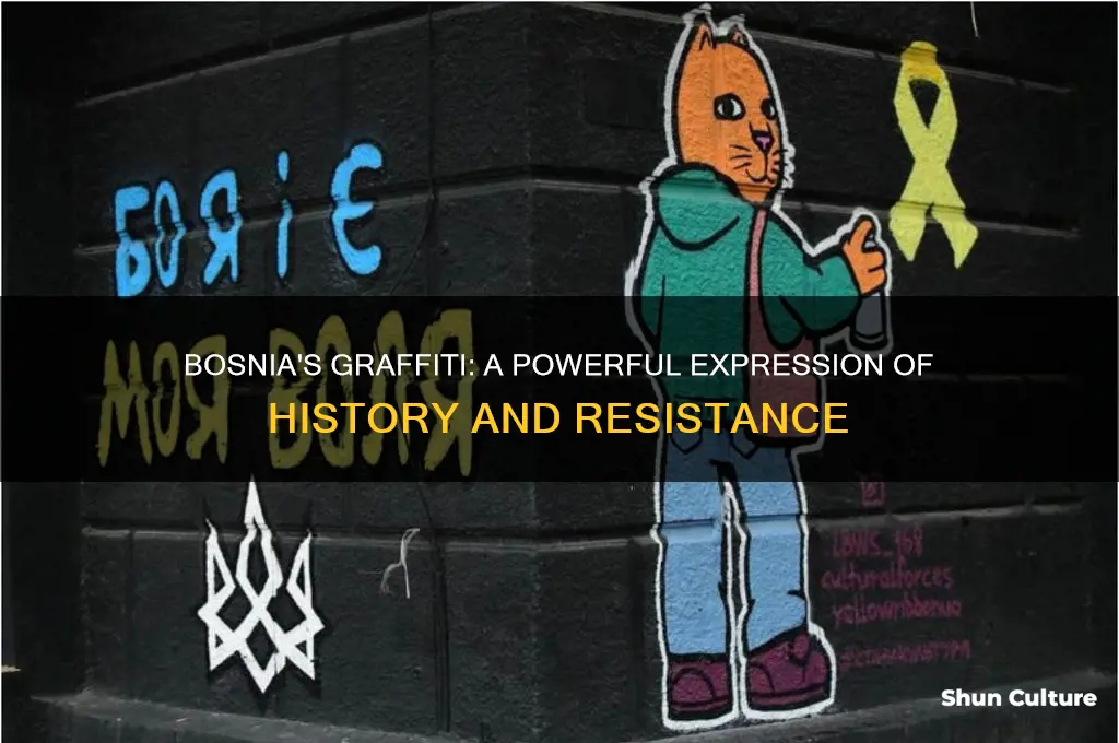 why is there graffti in bosnia
