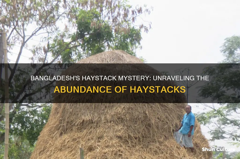 why is there so many haystacks in bangladesh