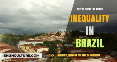 Brazil's Deep Divide: Unraveling the Roots of Persistent Inequality