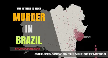 Brazil's Murder Crisis: Unraveling the Roots of Deadly Violence