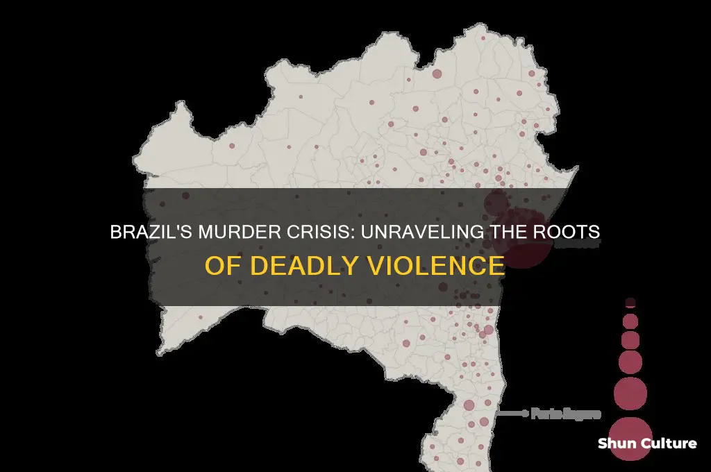 why is there so much murder in brazil