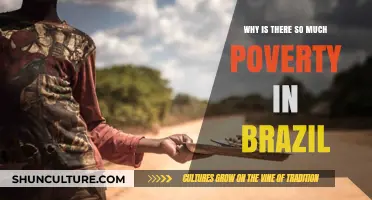 Understanding Brazil's Persistent Poverty: Causes, Impacts, and Potential Solutions
