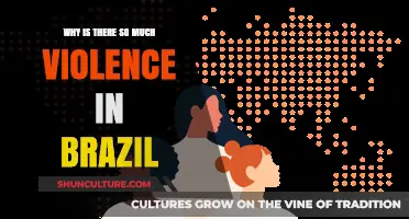 Brazil's Violence Epidemic: Unraveling the Complex Causes and Consequences