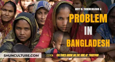 Tuberculosis in Bangladesh: Persistent Challenges and Urgent Solutions Needed