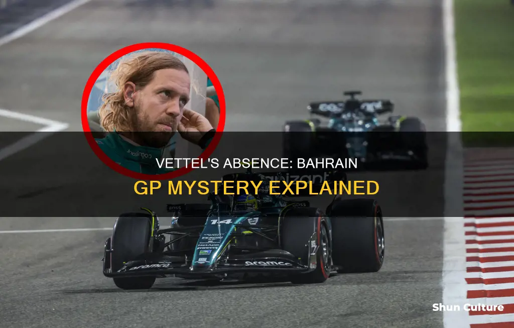 why is vettel not in bahrain