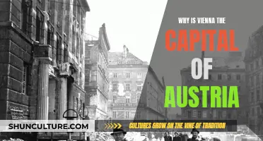 Vienna: Austria's Capital City Explained