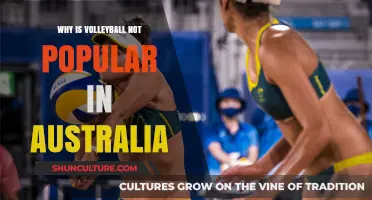 Volleyball in Australia: Lack of Popularity Explained