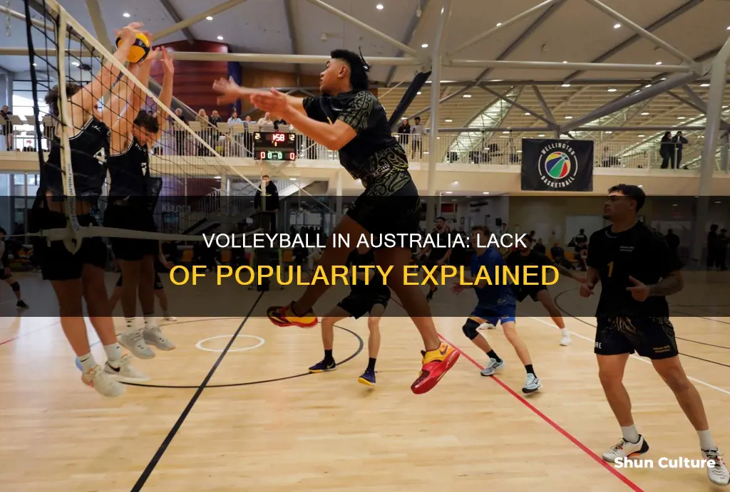 why is volleyball not popular in australia