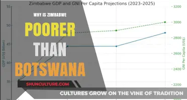 Zimbabwe vs. Botswana: Unraveling Economic Disparities and Development Divides