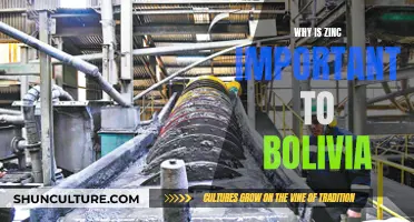 Zinc's Significance in Bolivia: Economic and Health Benefits