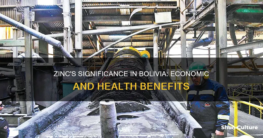 why is zinc important to bolivia