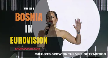 Why Bosnia Skipped Eurovision: Politics, Finances, and Future Hopes