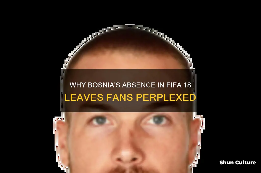 why isn t bosnia in fifa 18