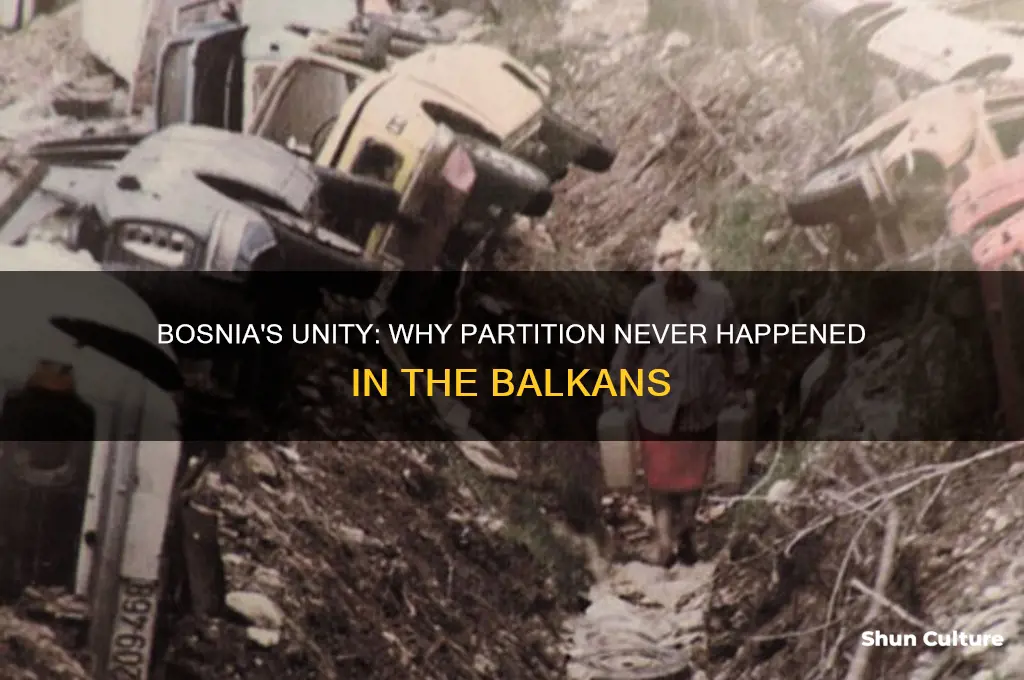 why isn t bosnia partition