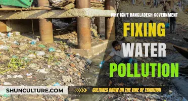 Bangladesh's Water Crisis: Why Government Action on Pollution Lags Behind