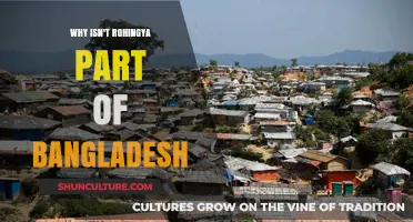 The Rohingya Crisis: Why Bangladesh Isn't Their Homeland