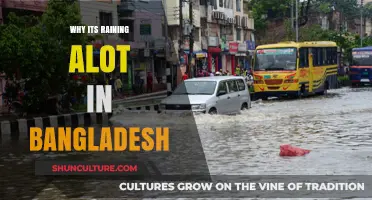 Unusual Heavy Rains in Bangladesh: Causes and Climate Change Links