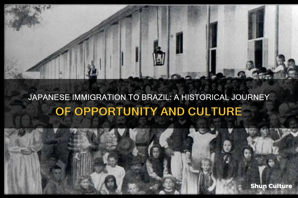 why japanese people immigrated to brazil
