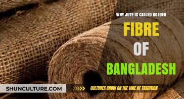 Jute: Bangladesh's Golden Fibre and Its Economic Significance