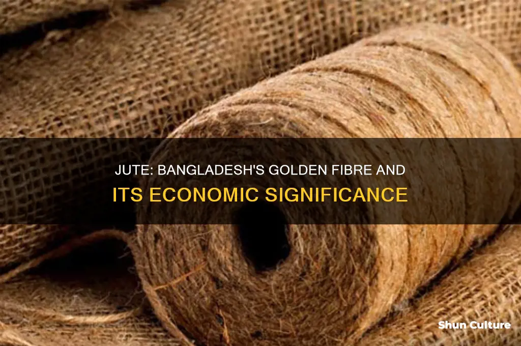 why jute is called golden fibre of bangladesh