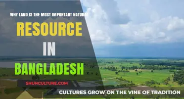 Land's Vital Role: Bangladesh's Most Precious Natural Resource Explained
