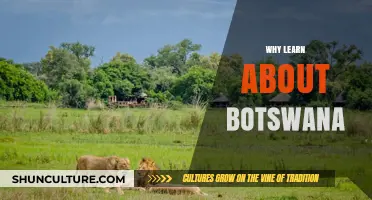 Discover Botswana's Rich Culture, Wildlife, and Economic Potential Today