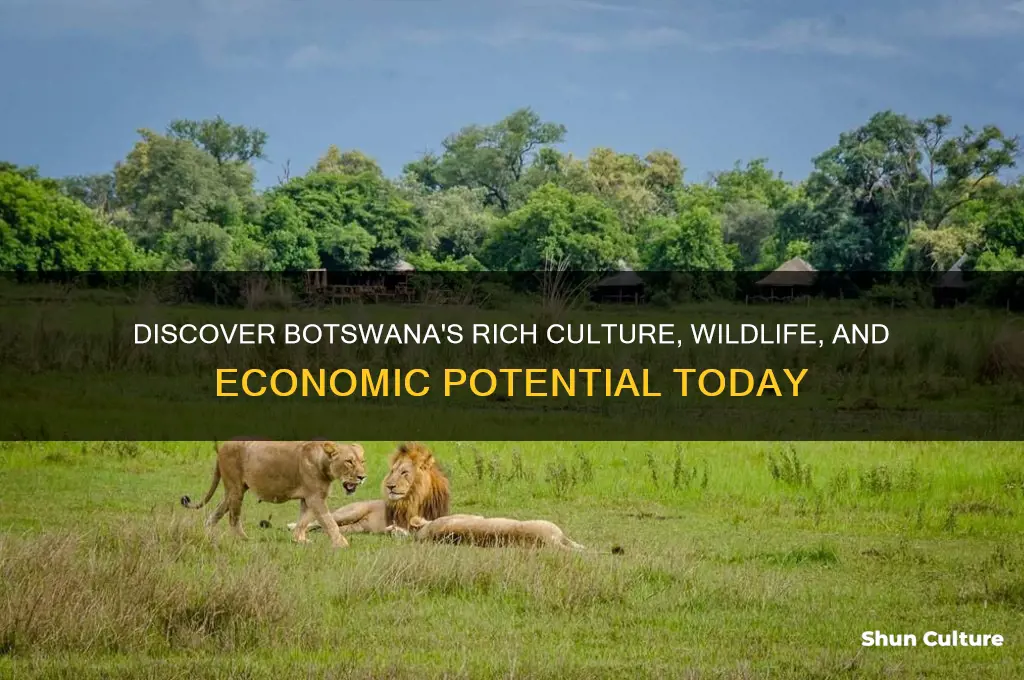 why learn about botswana