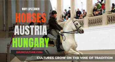 Lipizzaner Horses: Austria-Hungary's Legacy Breed