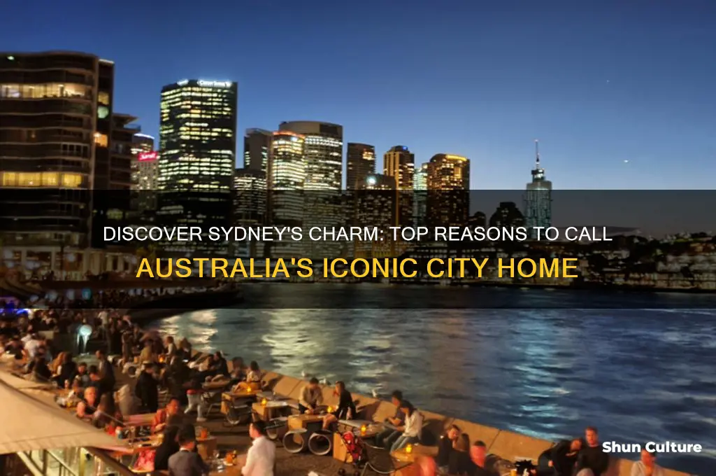 why live in sydney australia