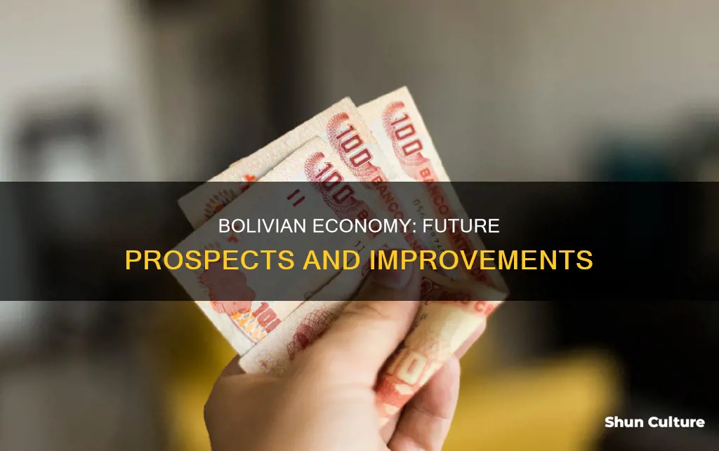 why might bolivia economy improve in the future