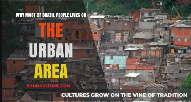 Urban Brazil: Why Most Brazilians Choose City Life Over Rural Areas