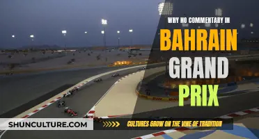 The Bahrain Grand Prix: Silence on the Track