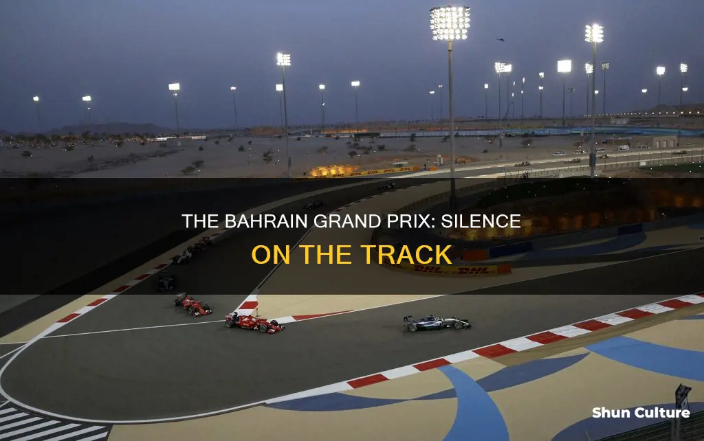 why no commentary in bahrain grand prix