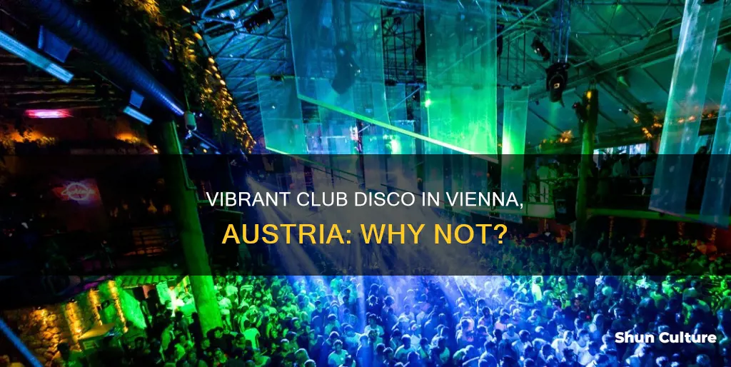 why not club disco vienna austria
