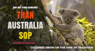 Australia's Unique Appeal for International Students