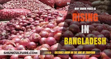 Onion Price Surge in Bangladesh: Causes and Impact Explained