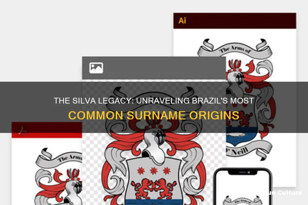 why people are called silva in brazil