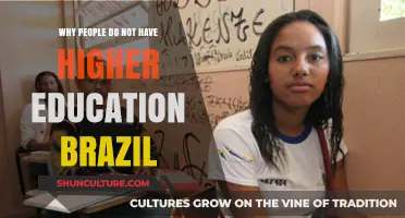 Barriers to Higher Education in Brazil: Understanding the Challenges